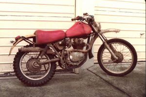 Wonda by Jim Watson